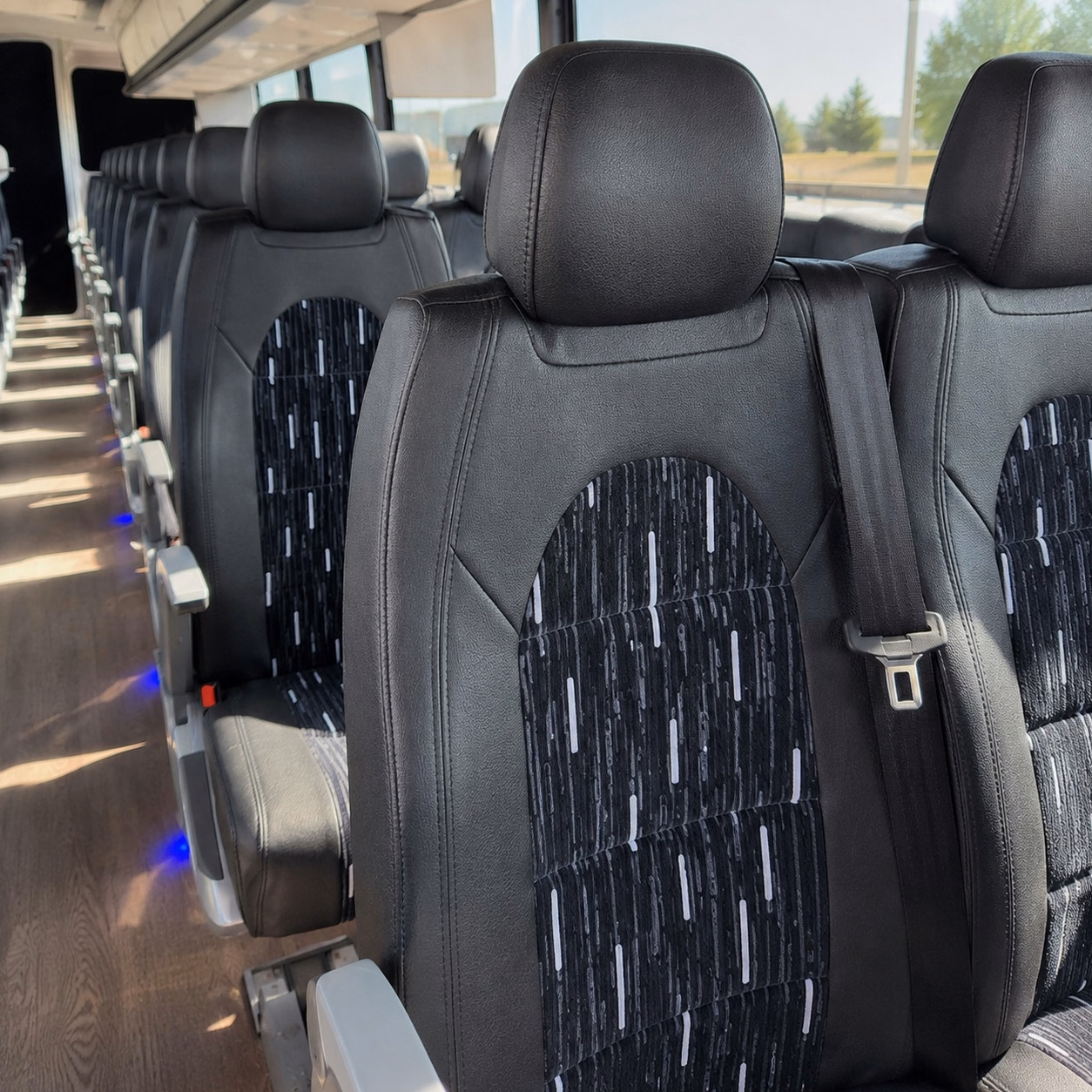 compare group transportation in meridian in one search